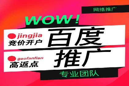 SEO策略在电商平台的成功应用案例